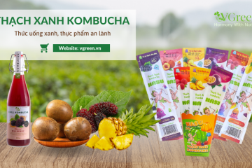 THẠCH XANH KOMBUCHA HASU - THẠCH TỪ KOMBUCHA ĐẦU TIÊN TRÊN THẾ GIỚI